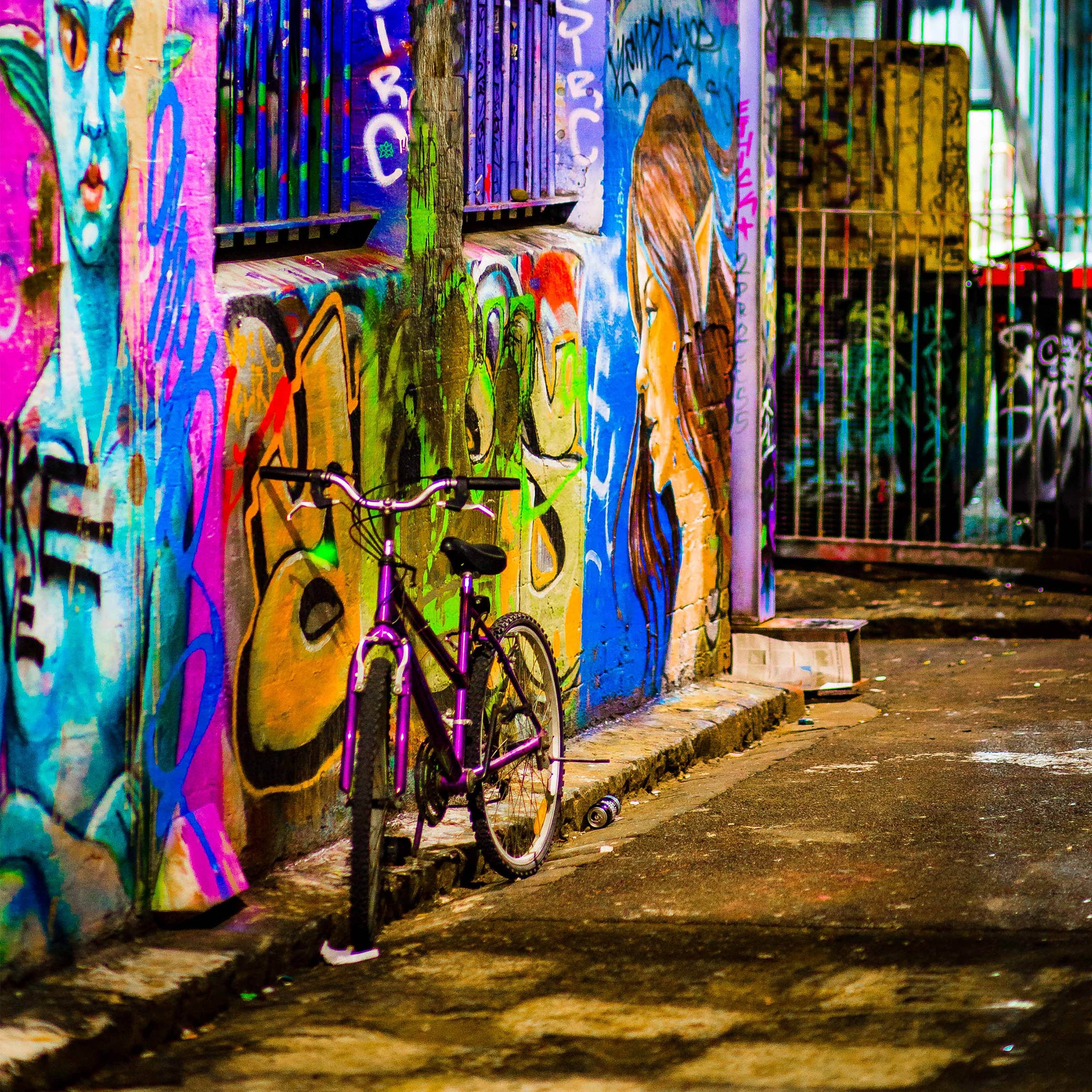The Bike | Hosier Lane | Premium Framed Print