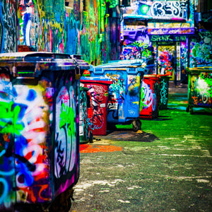 When the Bins Blend In | Hosier Lane | Premium Framed Print