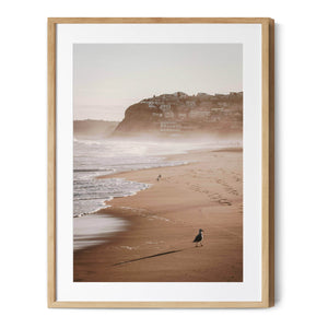 Sunset Spray | Merewether Beach |Premium Framed Print