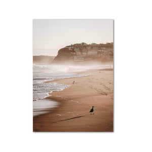 Sunset Spray | Merewether Beach | Photo Art Print